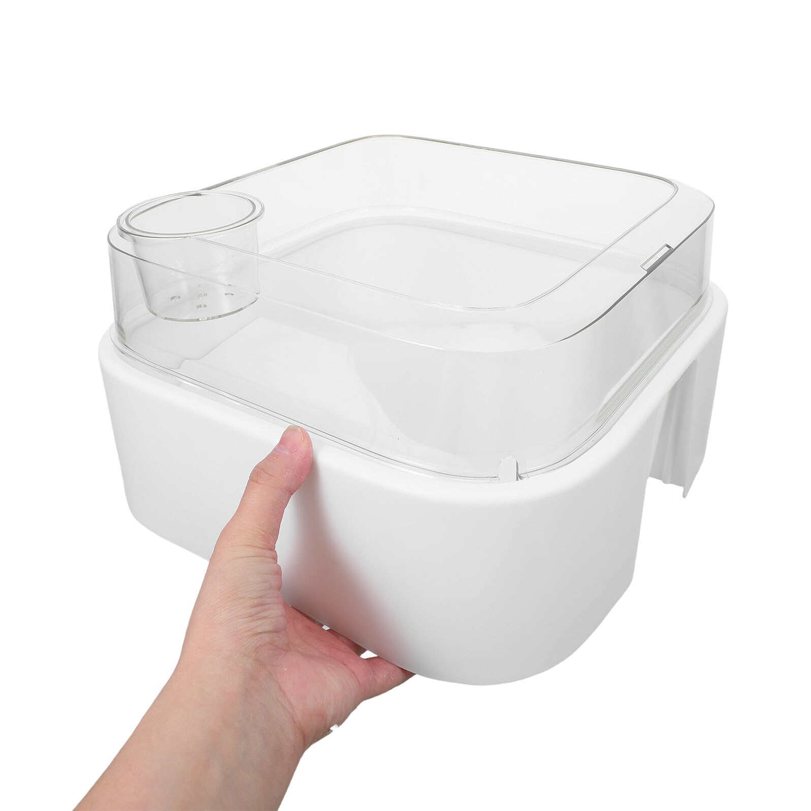 Levemolo Aquarium pour Tortues Aquatiques avec Couvercle Anti-évasion, Petit Habitat en Plastique Transparent, Plateforme de Repos Intégrée pour Reptiles, pour Tortues d'eau et Amphibiens,