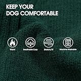 Zoom IMG-2 iecoii maglione per cani dolcevita Zoom IMG-2 iecoii maglione per cani dolcevita