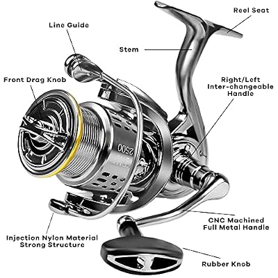 Surf Spinning Reel, Size Ghana | Ubuy