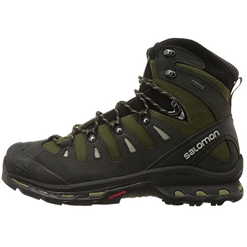 Salomon Men's Quest 4D 2 GTX Backpacking Boot, Iguana Green/Asphalt/Dark Titanium, 10 M US