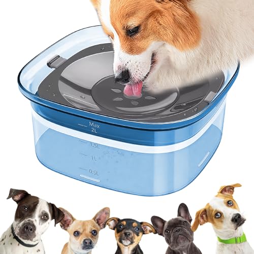 Ciotola per acqua senza fuoriuscite per cani LEKEFETO: 2L Ciotola per cani senza sbavare, a prova di perdite e antiscivolo, blu