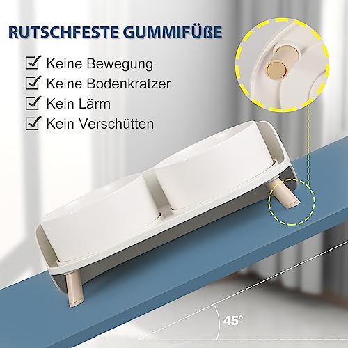 Katzen Napfset Katzennapf Erhöht Keramik - Doppelt Katzennäpfe mit Rutschfestem Ständer und Spritzschutz - Fressnapf Katze Napf - Futternapf Wassernapf Set für Welpen Kleine Hunde - 2 x 480 ML