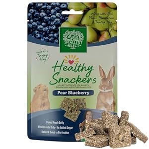 Small Pet Select – Healthy Snackers – Pear/Blueberry