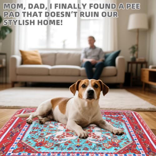 Image of KOOLTAIL Washable Pee Pads for Dogs, 2 Pack Super Absorbent Reusable Puppy Training Pads Waterproof, Nonslip and Leak-Proof Dog Pee Pads, Large Pet Mats Whelping Pads for Floor, Crate, Couch 36*41