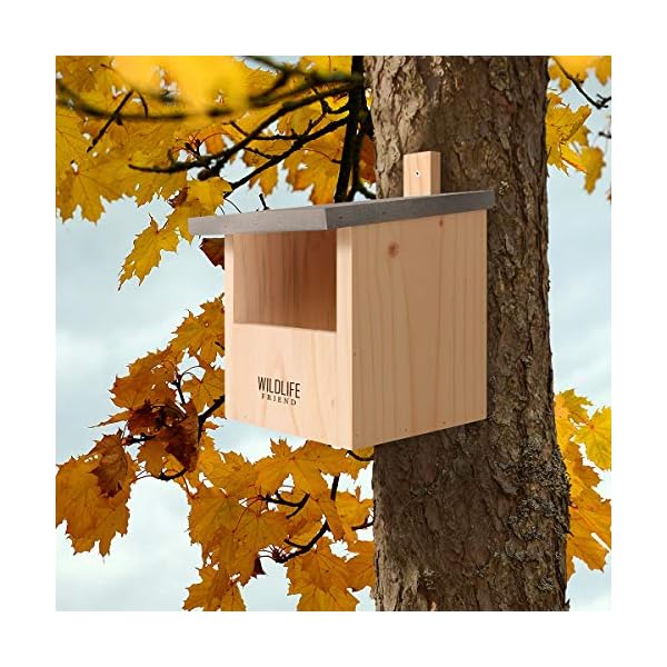 WILDLIFE FRIEND I Nistkasten Rotkehlchen & Co mit Metalldach nach NABU aus Massivholz für - 100% Wetterfest – Halbhöhle… – Bild 4