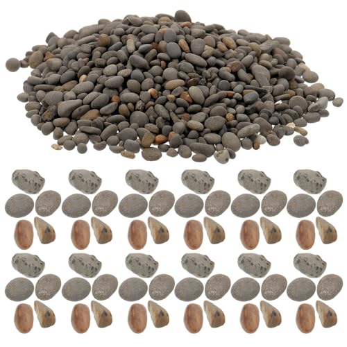 Artibetter Micro Landscape Flusskiesel Natürliche Dekosteine für Aquarium Blumentopf Sandtisch und Miniatur Eisenbahn für Zen Garten Bachbett Stein dekor Lebendige Modelllandschaften