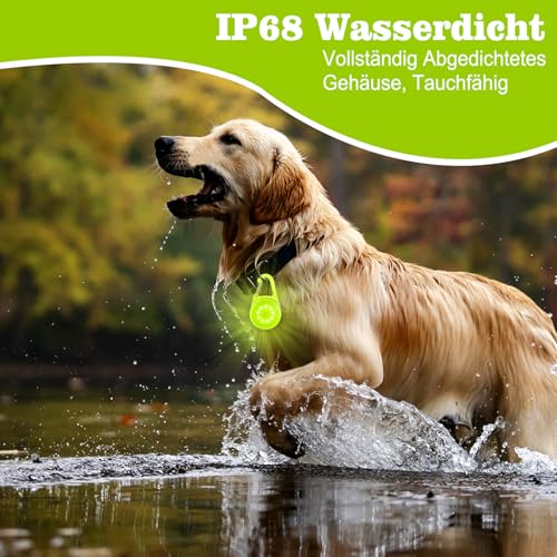 LED Blinklicht Sicherheitslicht IP68 Wasserdicht USB Aufladbar Sicherheit Licht für Kinder Schulranzen Nachtläufer Bergsteiger Hunde Leuchtanhänger Clip Dauerlicht und Blinklicht 2er (Grun)
