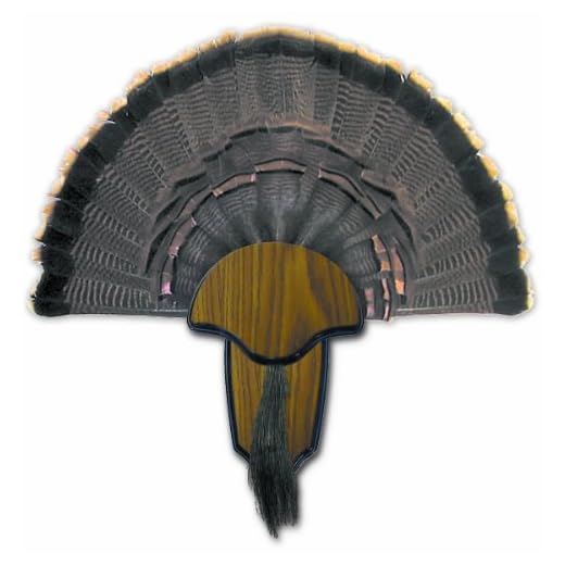 HUNTERS SPECIALTIES Strut Turkey Tail & Beard Mounting Kit - Durable Easy To Assemble Trophy Mount Kit With Hardware Included