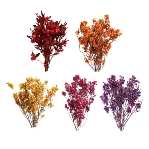Ramo de flores secas Dodonaea Viscosa decorativo miniatura 5