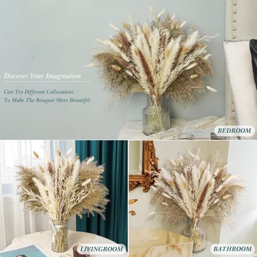 Pampas Grass Large Pampas Grass Decor Home Bouquet Natural Fluffy miniatura 4