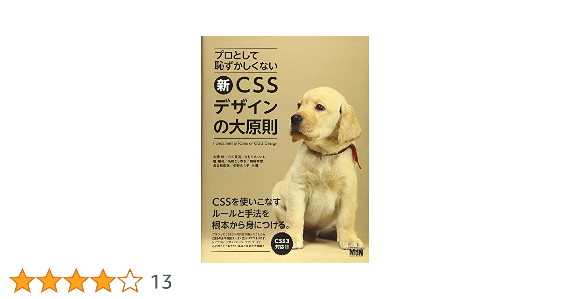プロとして恥ずかしくないWEBデザインの大原則　改訂版 プロとして恥ずかしくない 新・WEBデザインの大原則 | 大藤 幹
