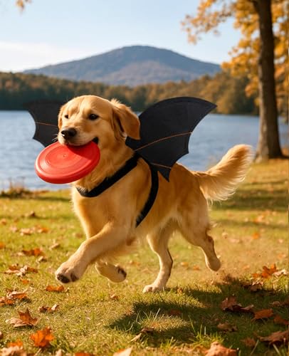 Disfraz Halloween alas de murciélago para perros S-M miniatura 6