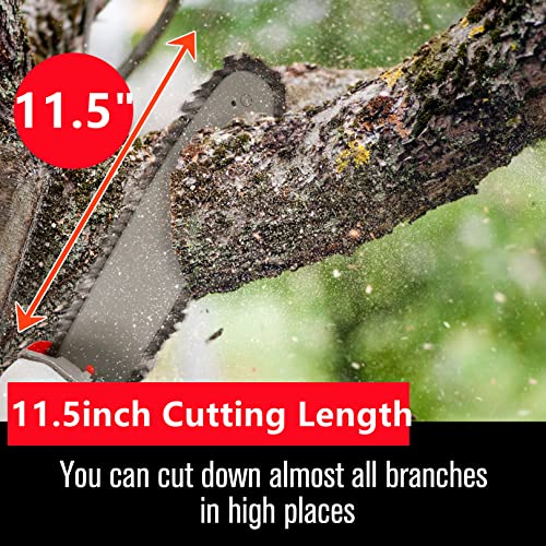 58CC Gas Pole Saw