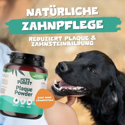 Pets Purest Zahnpflege Pulver - 100% Natürliche Zahnsteinentferner Hund, Katzen & Haustiere 185g. Zahnpflege Katzen & Hunde - für Mundgeruch, Zahnstein & Zahnfleischerkrankungen