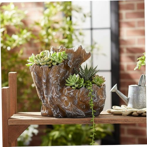 Bois flotté décor avec jardinière 3 sections en résine pour succulentes - 6