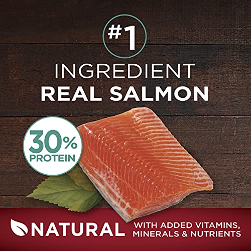 Purina ONE High Protein, Natural Dry Dog Food, True Instinct With Real Salmon & Tuna - 27.5 lb. Bag - Image 4