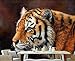 Produktbild Ponana Benutzerdefinierte 3D Stereoskopische Wandbilder Lion Tiger Elefant Tapete Moderne Kunst Tier Tapete Kinderzimmer Pferd Wandbild Room Decor    I-450X300Cm