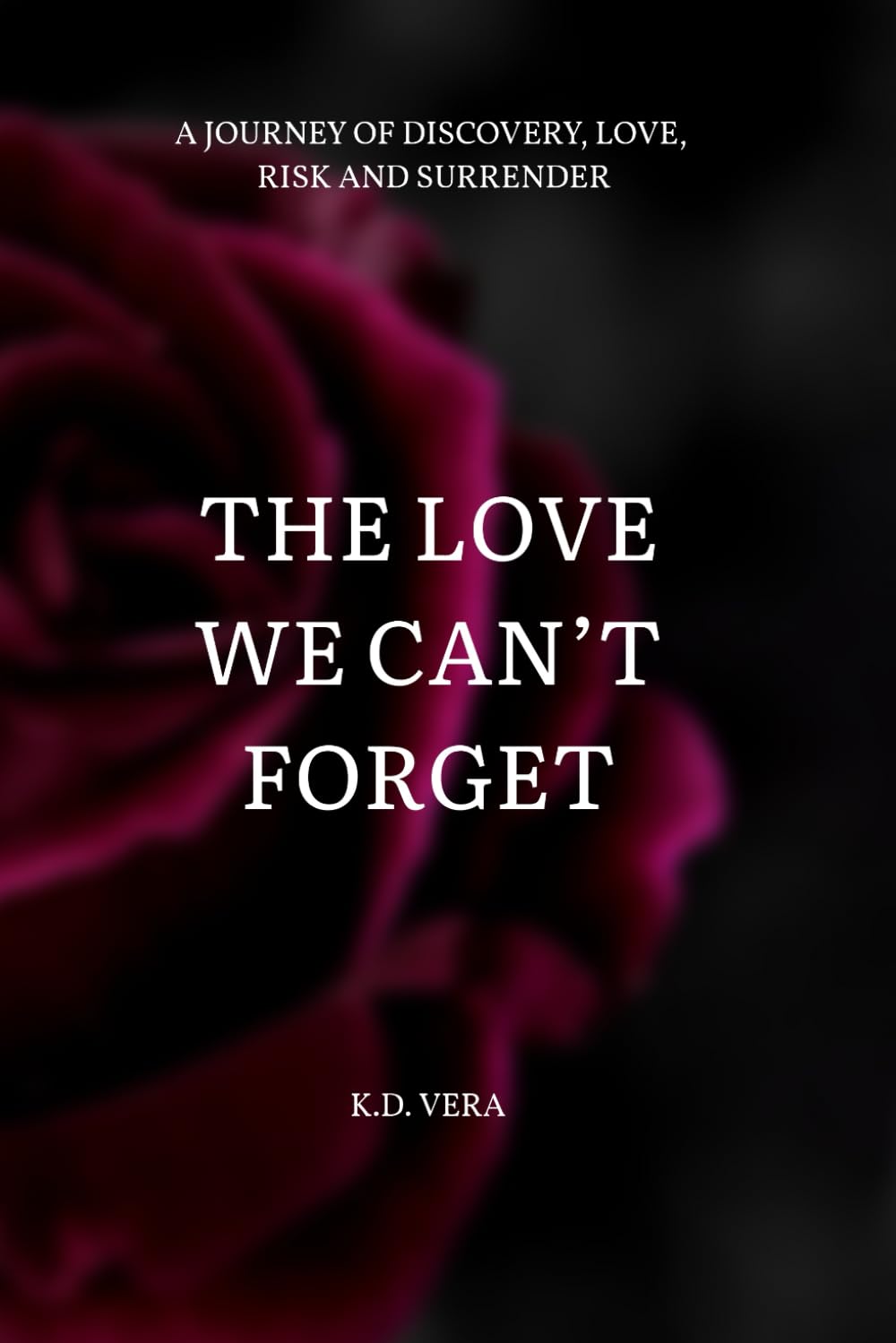 The Love We Can't Forget