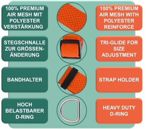 DEY - Premium Hundehalsband Air Mesh | Verstellbar | für Kleine, Mittelgroße u. Große Hunde | viele Farben u. Größen | Halsband Hund Katzen | Hunde-Halsbänder | Welpen-Halsband | Orange, S