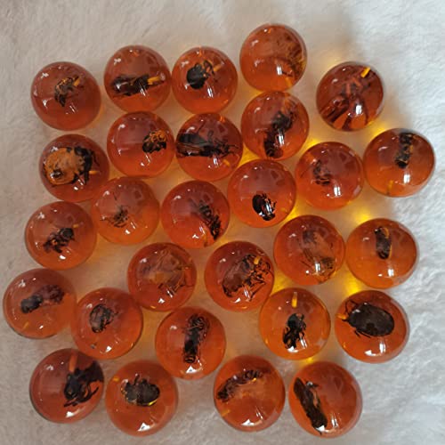 Image of Multiple Psc Spherical Insect Amber Fossil, Spherical Luminous Insect Specimen, Educational and Scientific Amber Collection (8Pcs)