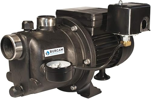 BURCAM 506221P Bomba de chorro de pozo poco profundo Noryl de 3/4 HP