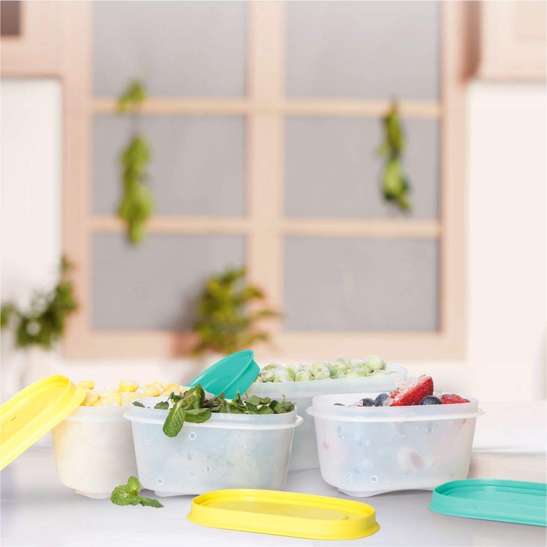 Buy Tupperware Plastic Freezer Container - 170ml, 4 Pc