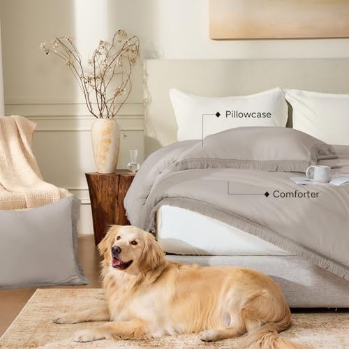 Image of Andency Queen Comforter Set Heather Grey, 3 Pieces Boho Fall Tassel Lightweight Bedding Comforter Sets, All Season Soft Bed Set (90x90In Comforter & 2 Pillowcases)