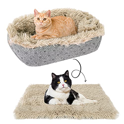 Top 10 Self Warming Cat Bed of 2022 Katynel