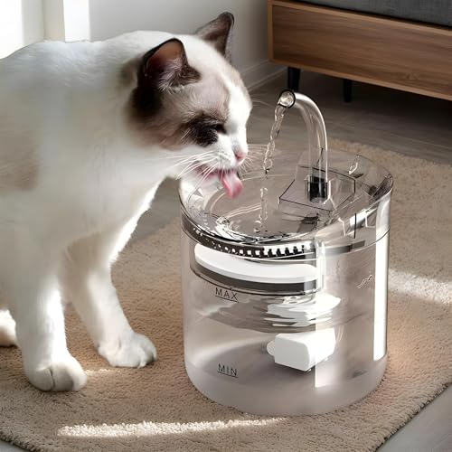 Distributeur d'eau chat silencieux avec connectique USB et grande capacité 2L - 3