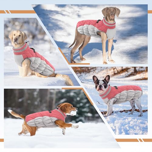 Image of Dog Jackets for Small Dogs, Warm Dog Winter Coat with Harness, XS