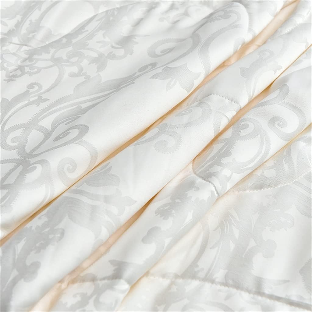 Silk Comforter Silk Duvet Silk Quilt Natural Silk Bedding Cool Blanket for Machine Washable(220 * 240CM)