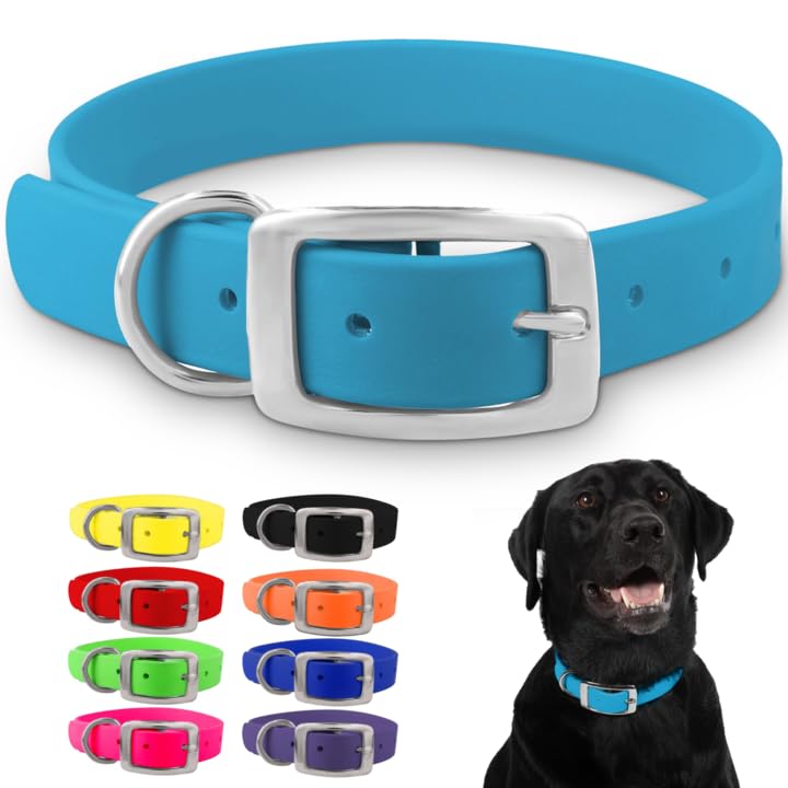 Regal Dog Products Large Light Blue Dog Collar with Heavy Duty Double Buckle & D Ring | Vinyl Coated, Custom Fit, Adjustable Biothane Dog Collar Chew