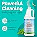 Sunny & Honey Carpet Miracle - Carpet Cleaner Shampoo - Deep Stain Remover & Odor-Deodorizing Formula - Rug Shampoo & Upholstery Cleaner Solution (32 Fl Oz, Spring Mint Scent)