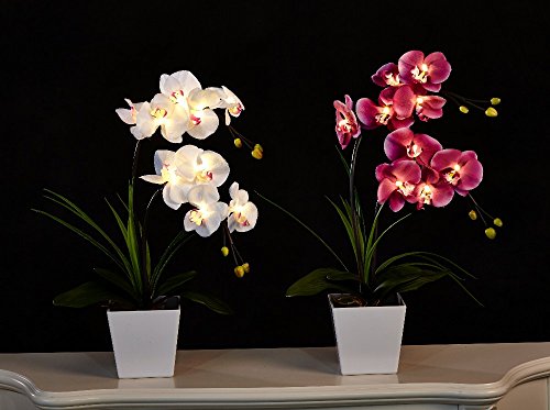 FANStek Artificial LED Orchid Light Warm White (Purple)