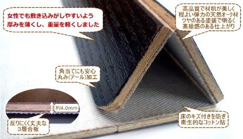 【ブラウン】 低ホルマリンタイプ 軽量タイプ 【カーペットストレッチャーツールキット】