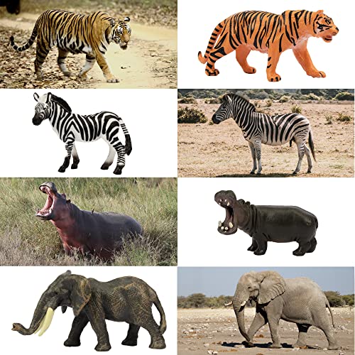 image for Toymany 14PCS 1-2