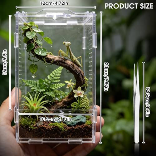 GTSEEMUU Jumping Spider Enclosure, Insect Terrarium, Bug Cage, Acrylic Terrarium for Tarantula, Snail, Praying Mantis, Frog, and Small Reptiles - 4