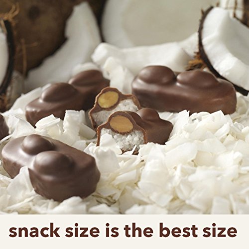 ALMOND JOY, Chocolate Coconut Candy Bar, Snack Size, 11.3 Ounce Bag (Pack of 6)