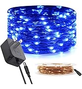 RUICHEN Copper Wire Fairy Lights Plug in 33 Ft 100 LED String Lights with Spool, Blue