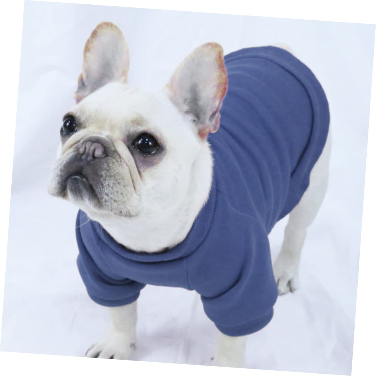 Kisangel 5pièces Vêtement pour Chiens Polaire Épais Sweatshirt Chaleureux pour Chiots Pull Adorable pour Animaux De Compagnie Confort Et Style pour Intérieur Et Extérieur Foncé