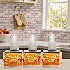 Goose Creek Holiday Cider Fragrance Oil Plug-In Refills, Orange Cinnamon Spice Scent, 0.8 FL OZ, 3 Pack #3