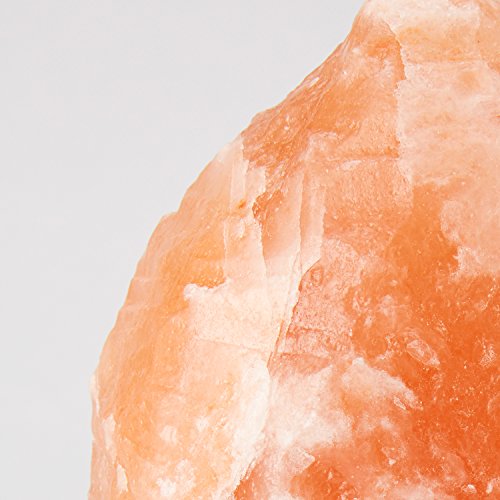Himalayan Salt Lamp 8-10 inches - Image 4