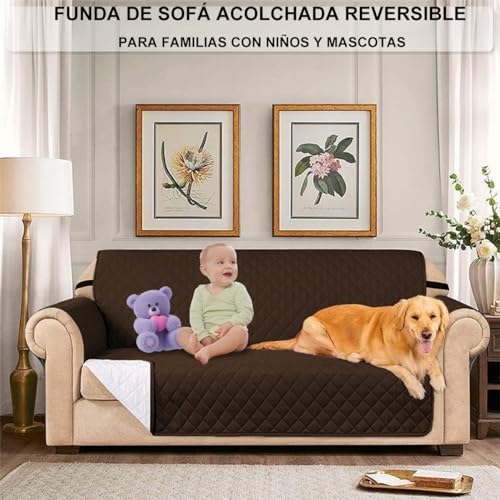 Catálogo de Imagenes de Sofa Cama favoritos de las personas. 8 Imagen adicional