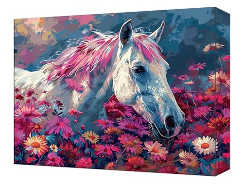 Kit coloriage par numero cheval avec peinture acrylique T-614