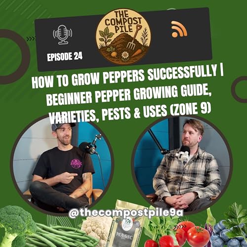 How to Grow Peppers Successfully | Beginner Pepper Growing Guide, Varieties, Pests & Uses (Zone 9 Gardening)