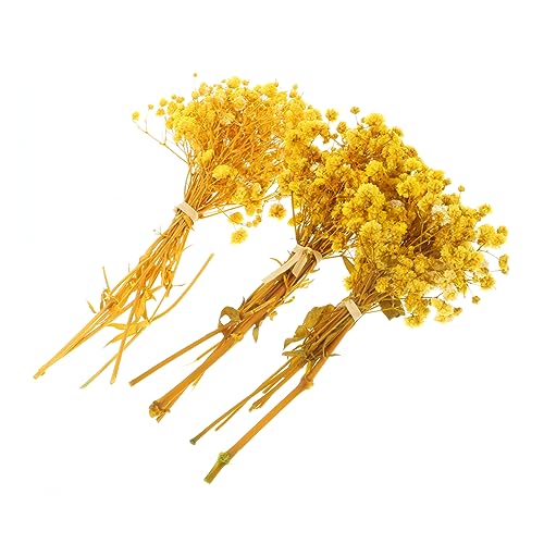 Ramos Secos Happyyami de Flores de Gypsophila Amarillas