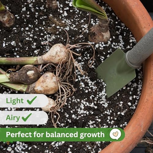Image of Perlite for Plants (1KG), Hydroponics & Horticulture Terrace Gardening, Essential Soil Conditioner, for Indoor, Outdoor Plants (1 Kilogram)