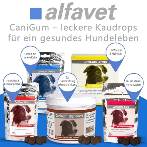 Alfavet CaniGum Relax, Ergänzungsfuttermittel für Hunde mit L-Tryptophan und B-Vitaminen, Beruhigung und Nervenstärke, 120g Kaudrops