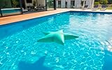 LIVEDECO - Pouf Piscine, Étoile de Mer Bleu Turquoise, Flottant Pool BiG52