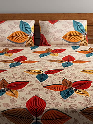 Image of IVAZA 144 TC Glace Cottton Bedsheet (Double, Wild)